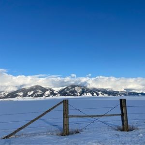 🧡 VIP Love Jeans 🧡